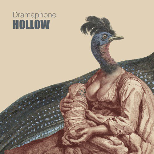 Hollow cover art
