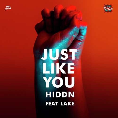 Just Like You (feat. Lake)