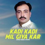 Kadi Kadi Mil Giya Kar