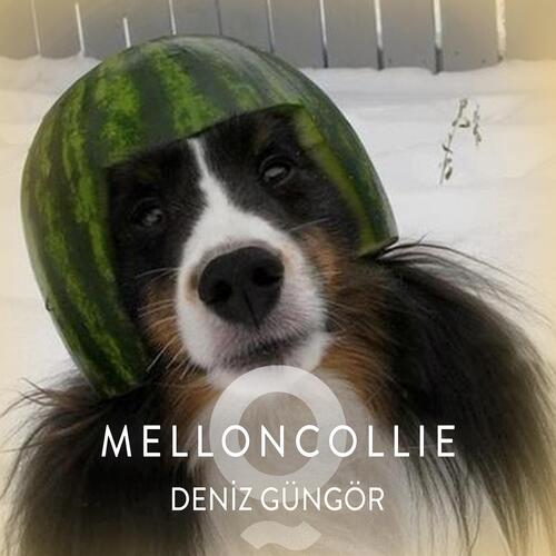 Melloncollie_poster_image