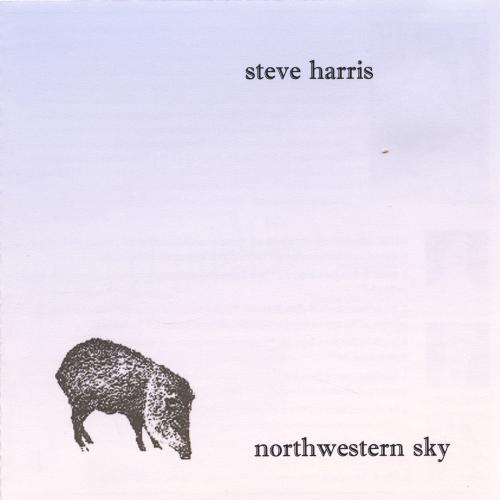 Northwestern Sky_poster_image