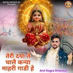 तेरी दया तै चालै कन्या माहरी गाडी हे