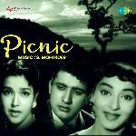 Picnic