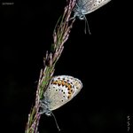 Binary System