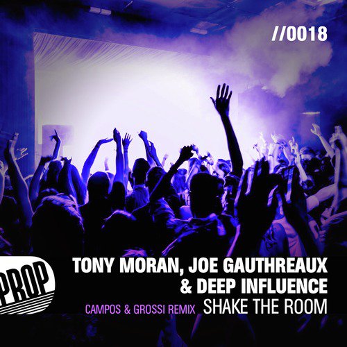 Shake the Room (Campos &amp; Grossi Remix)_poster_image