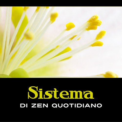 Meditazione tibetana cover art
