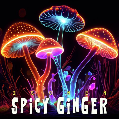 Magic cover art