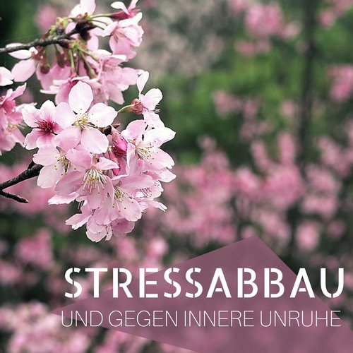 Stressabbau und Gegen Innere Unruhe - Gelassenheit mit Nature Musik_poster_image