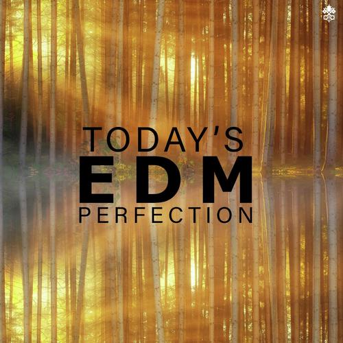 Today's EDM Perfection