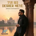 Tui sei desher meye