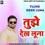 Tujhe Dekh Luna