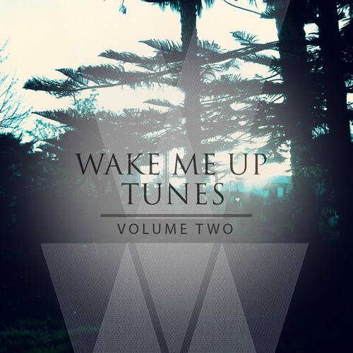 Wake Me up Tunes, Vol. 2
