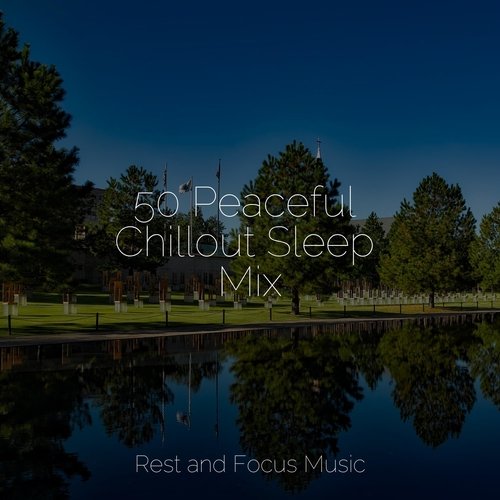 50 Peaceful Chillout Sleep Mix_poster_image