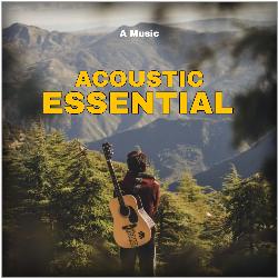 ACOUSTIC ESSENTIAL-B1gxVD5FcUE