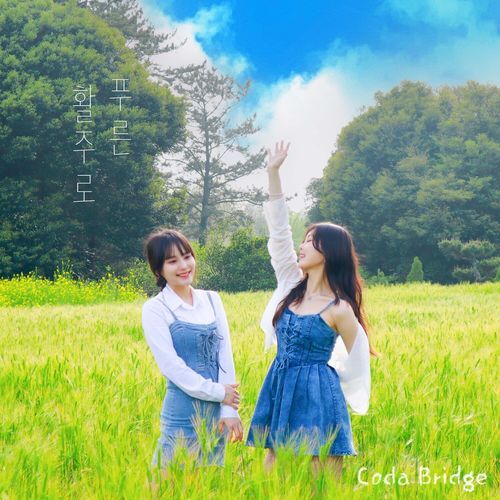 Blue Runway cover art