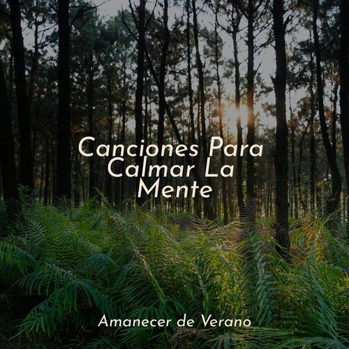 Canciones Para Calmar La Mente_poster_image