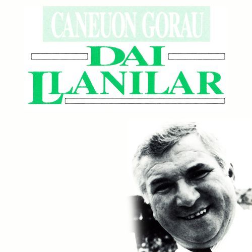 Arafa Don cover art