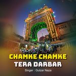 Chamke Chamke Tera Darbar