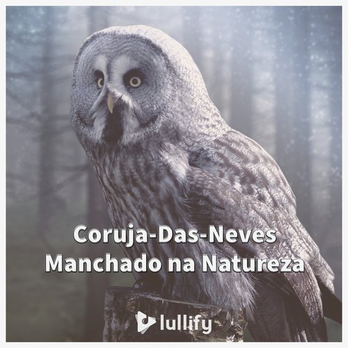 Inverno coruja da neve cover art