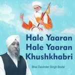 Halle Yara Khushkhabri