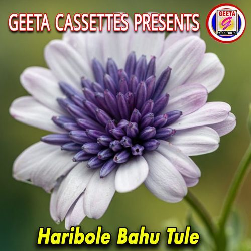 Haribole Bahu Tule