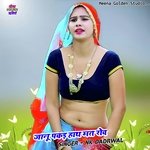 Janu Pakad Hath Mat Rov