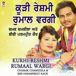 Kurhi Reshmi Rumaal Wargi-HDwPSzxldEM