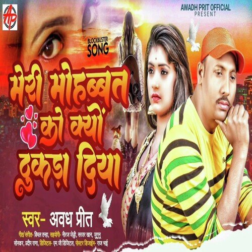 Meri Mohabat Ko Kyu Thukra Diya