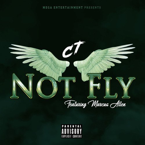 Not Fly