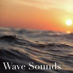  Ocean Sounds