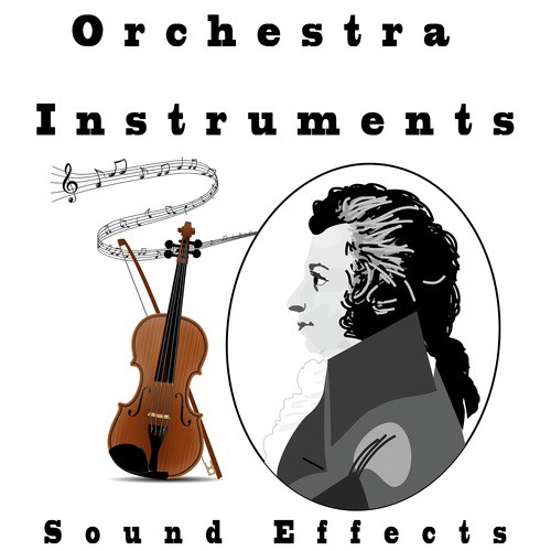 Violin 2 Song Download from Orchestra Instruments Sound Effects Text