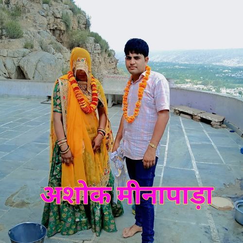 अशोक मीनापाड़ा