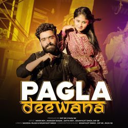 Pagla Deewana-IFlTWB9hWFw