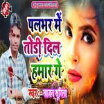 Palbhar Me Tori Dil Hamar Ge