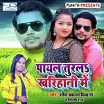 Payal Turala Kharihani Me artwork