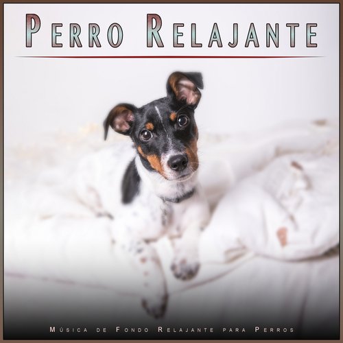 Ansiedad De Los Perros cover art