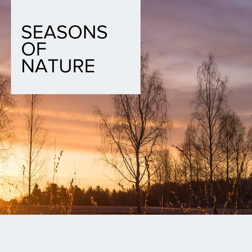 Unreal Nature Sound cover art