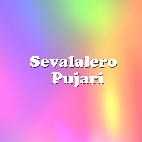 Sevalalero Pujari (Remix)