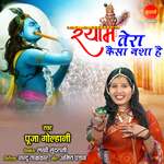 Shyam Tera Kaisa Nasha Hai