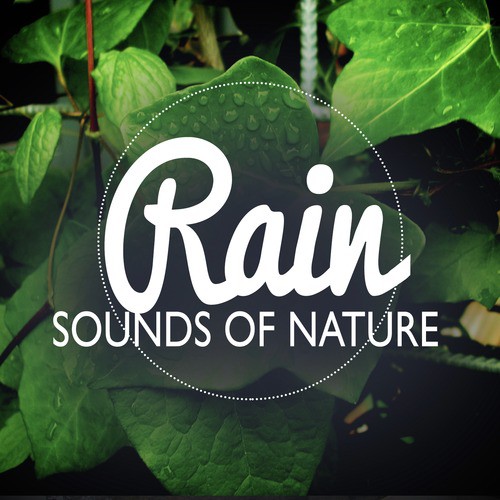 Sounds of Nature: Rain