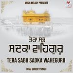 Tera Sabh Sadka Waheguru