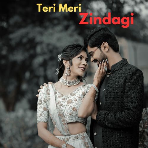 Teri Meri Zindagi