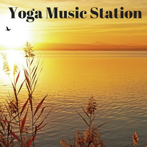 Meditation cover art