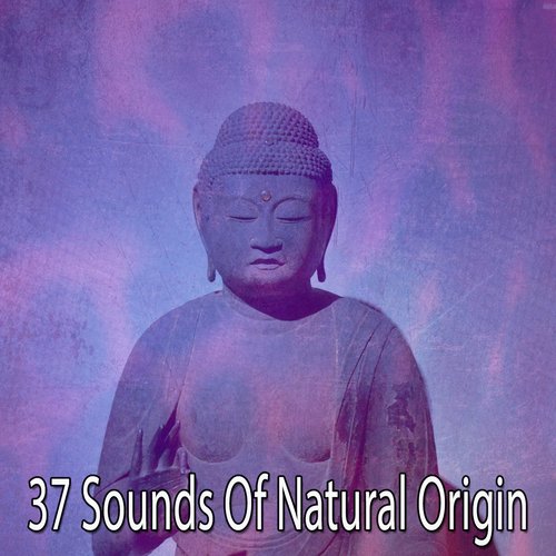 37 Sounds Of Natural Origin