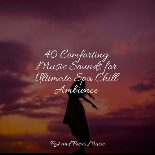 40 Comforting Music Sounds for Ultimate Spa Chill Ambience_poster_image