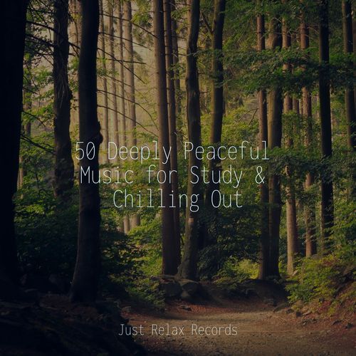 50 Deeply Peaceful Music for Study & Chilling Out