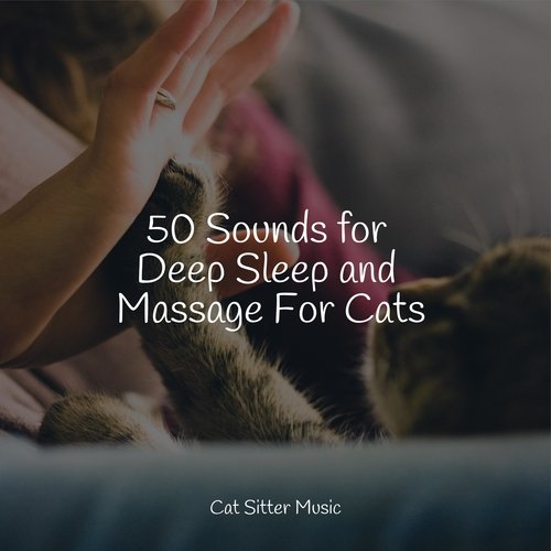 50 Sounds for Deep Sleep and Massage For Cats