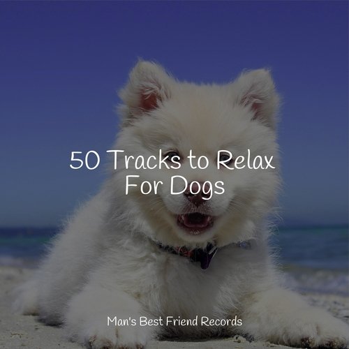 50 Tracks to Relax For Dogs