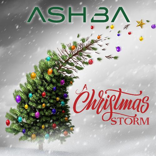 A Christmas Storm