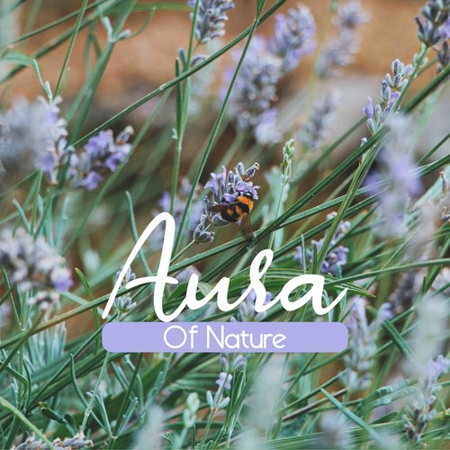 Aura Of Nature: Clean Your Aura And Chakras With The Sounds Of Nature For Meditation And Contemplation